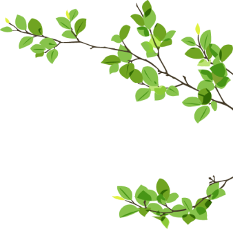 Blog Image